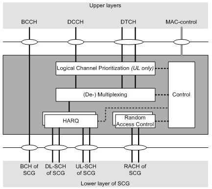 5G NR MAC结构概述，SCG