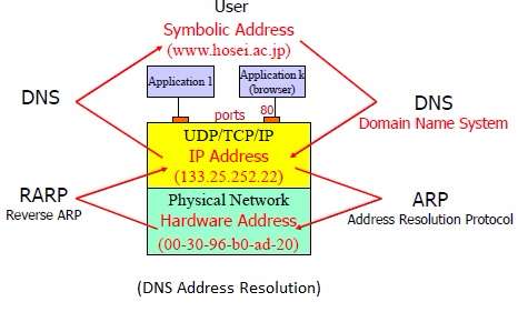 DNS地址解析