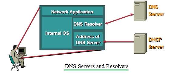 DNS服务器和解析器