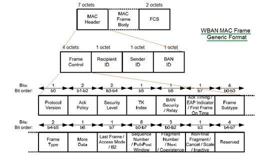 WBAN MAC层框架